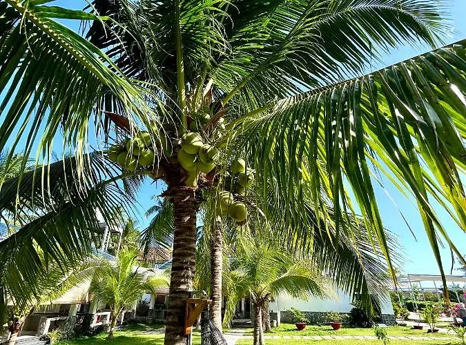 Hotel Catsen & Pool Phan Thiet